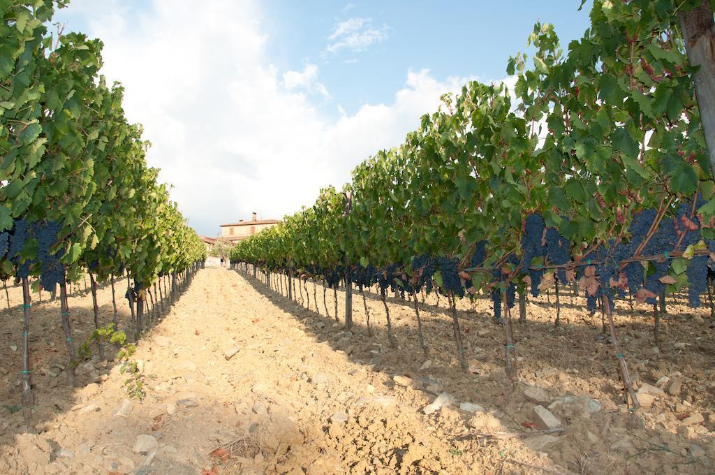 Agriturismo Amina, Winery & Hiking Вальяли Экстерьер фото