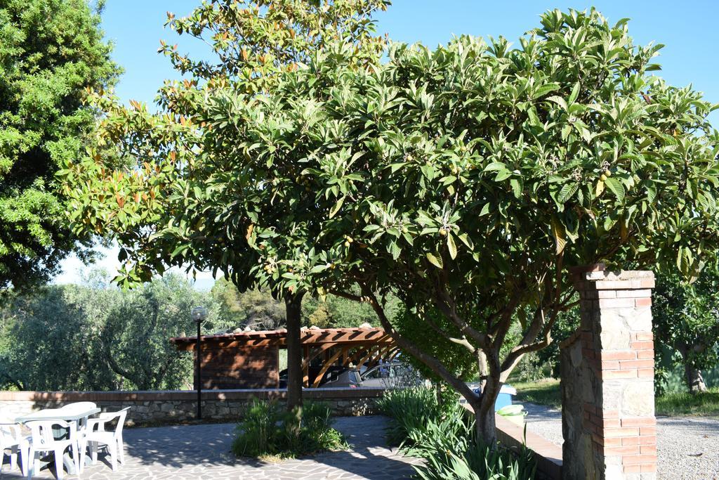 Agriturismo Amina, Winery & Hiking Вальяли Экстерьер фото